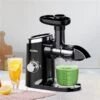 Aeitto Masticating Juicer With Two Speed Modes - Black